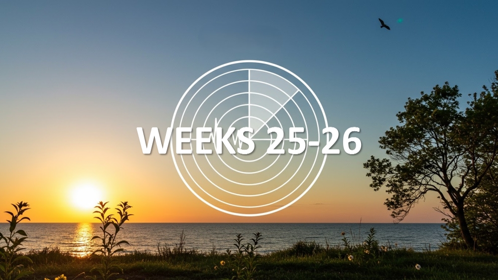 The Tech Radar - Issue #05 (June 2025)
